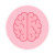 icon_metodologia_cerebro